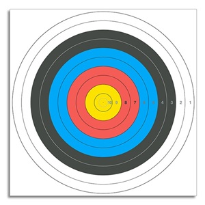羿龙弓箭80全环靶纸